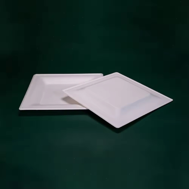จานกระดาษสี่เหลี่ยม ถาดอาหารสี่เหลี่ยม ย่อยสลายได้ สีขาว 6นิ้ว/8นิ้ว/9นิ้ว/10นิ้ว