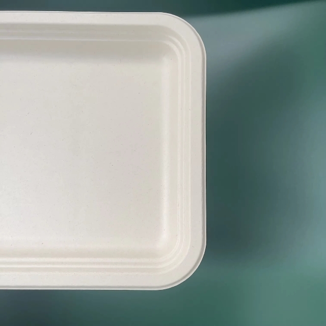 จานอาหารกระดาษสี่เหลี่ยม ถาดอาหารจานอาหารชานอ้อย ย่อยสลายได้ สีขาว 14นิ้ว