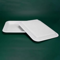 จานอาหารกระดาษสี่เหลี่ยม ถาดอาหารจานอาหารชานอ้อย ย่อยสลายได้ สีขาว 14นิ้ว 