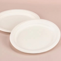 จานอาหารกระดาษ จานอาหารวงรี จานอาหารชานอ้อย ย่อยสลายได้ สีครีม 12.5นิ้ว 